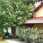 Sissy Vendeghaz Mórahalom