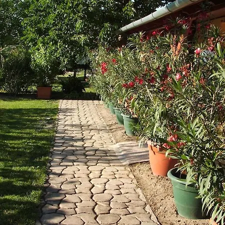 Guest house Sissy Vendeghaz Morahalom